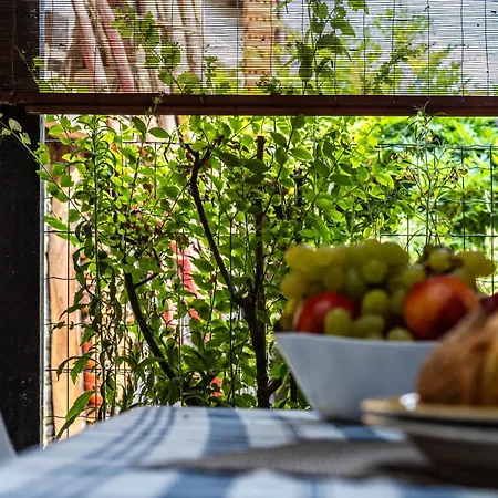 Nuovo Moderno Rustico Sul Lago Maggiore, Vino Fresco, Bbq - La Casa Di Amelia